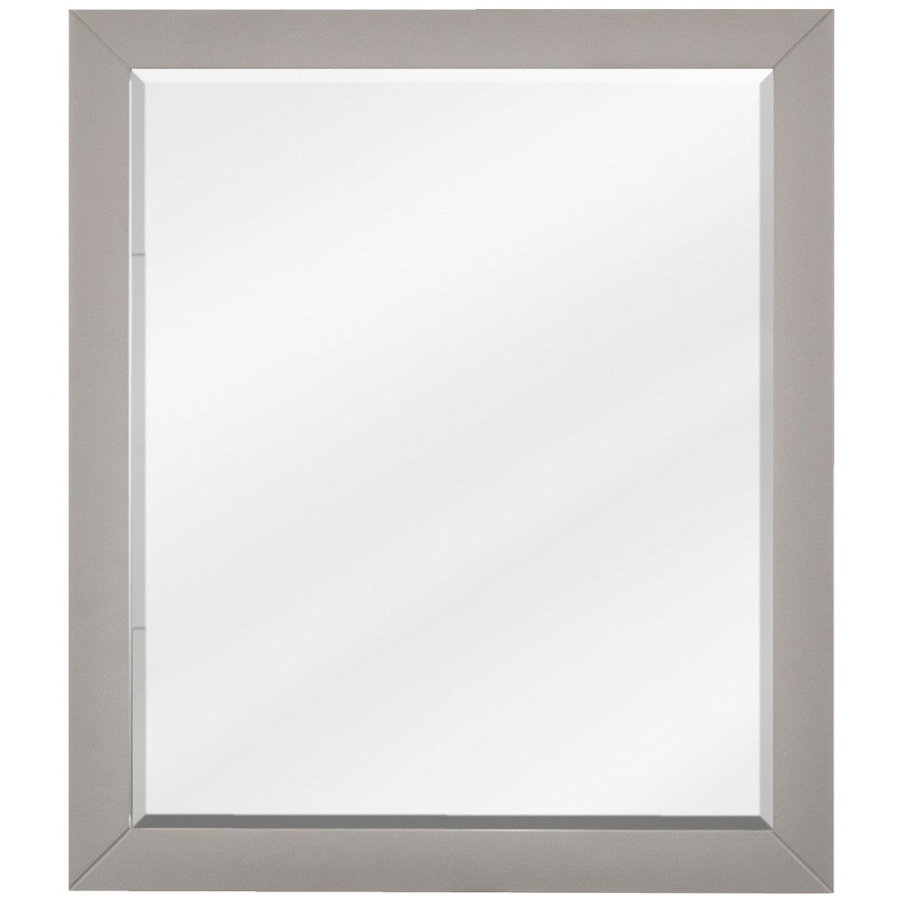 24 W x 1" D x 28" H Grey Cade mirror