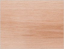 Alder